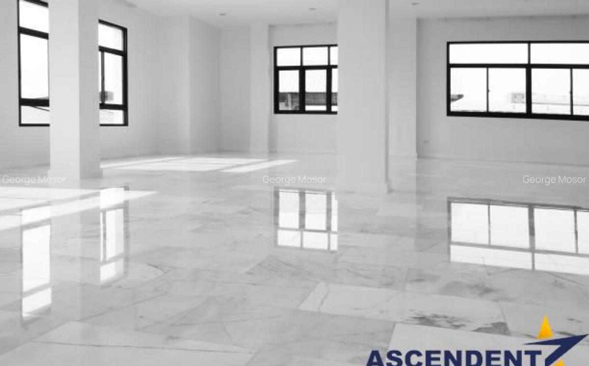 Vila impozanta, deschidere rezidential comercial clinica, - 10