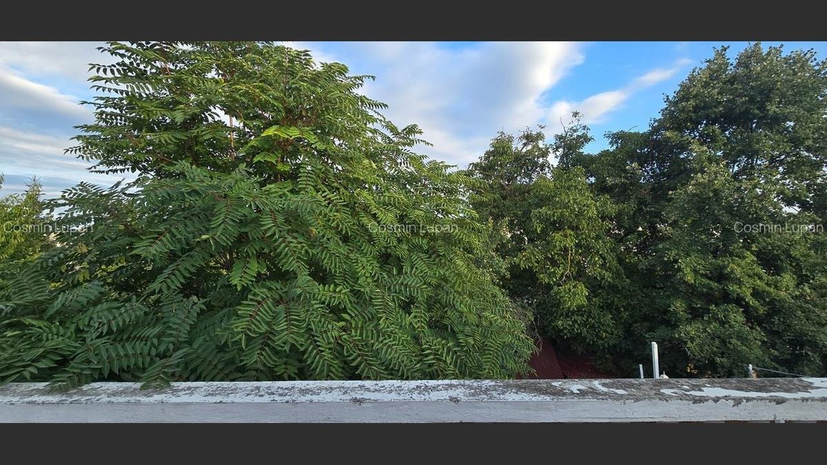 Casă spațioasă cu 5 camere, 3 terase și mansardă | Zona Lipovei - 19