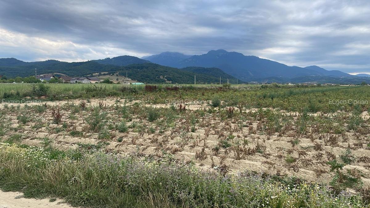 Teren Construcții intravilan de 9940 mp, în Glăjărie - 1
