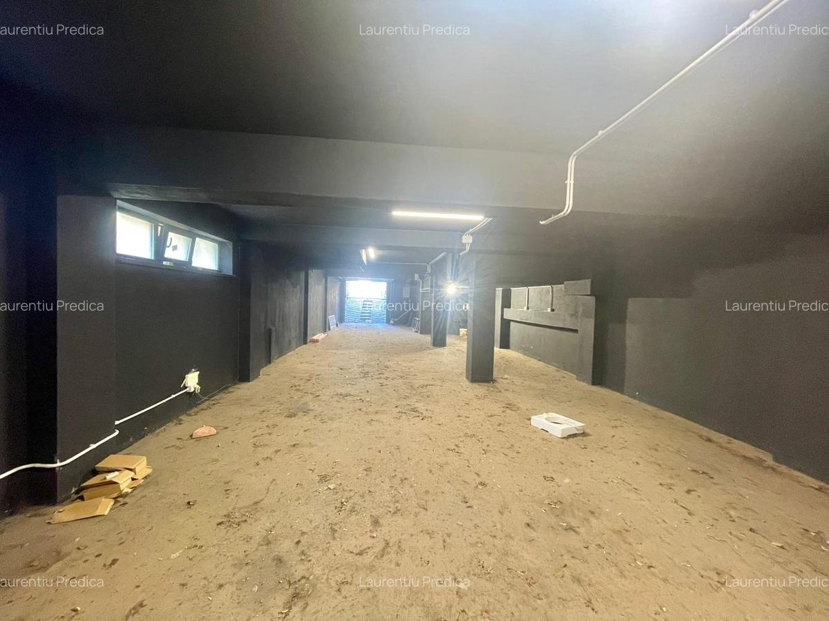 Spațiu industrial  – Zona Victoriei – Str. Teodosie Rudeanu nr. 41, - 8