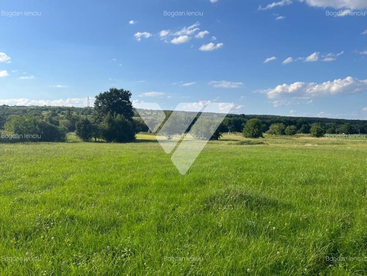 Teren intravilan - 9 loturi - Rasinari, Sibiu - 5