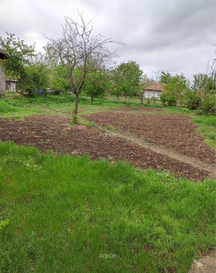 Casa si teren 826 mp Boldesti-Gradistea, Prahova, Str. Cameliei. - 8
