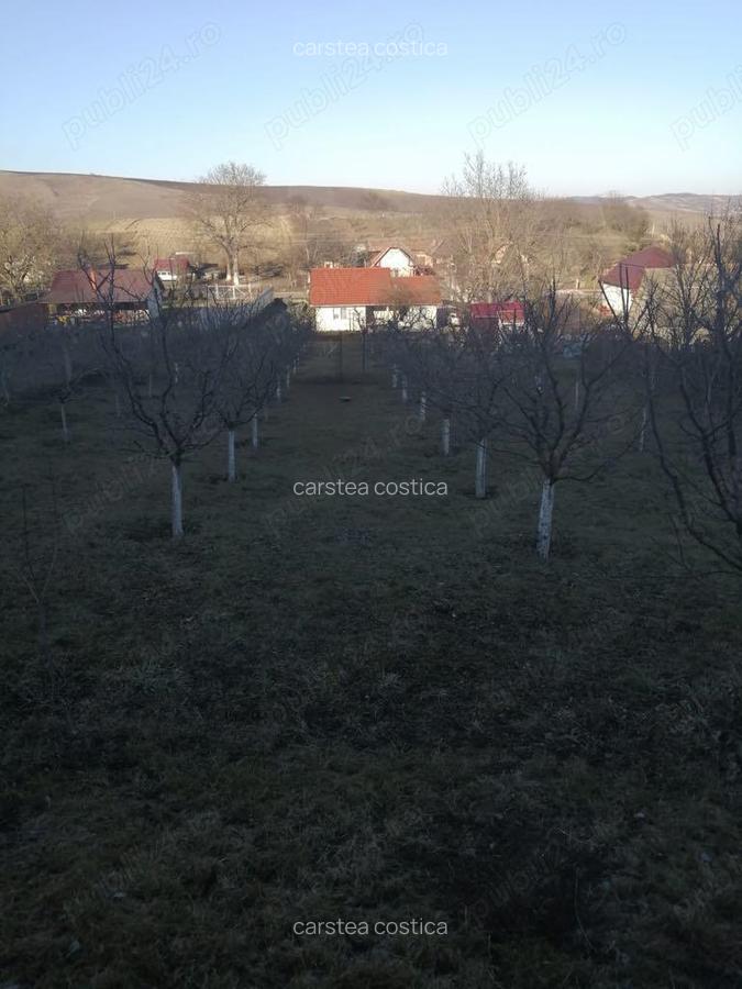 Casa de vanzare in Ora? Ludu?, str. Avrame?ti - 7