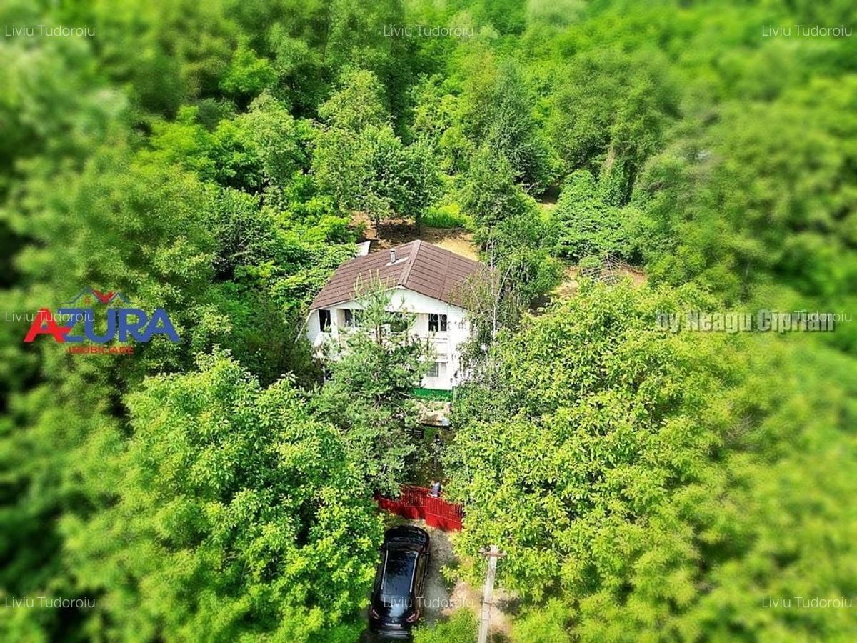 Casă de vânzare la liziera pădurii - Comuna Bogați, Argeș - 2