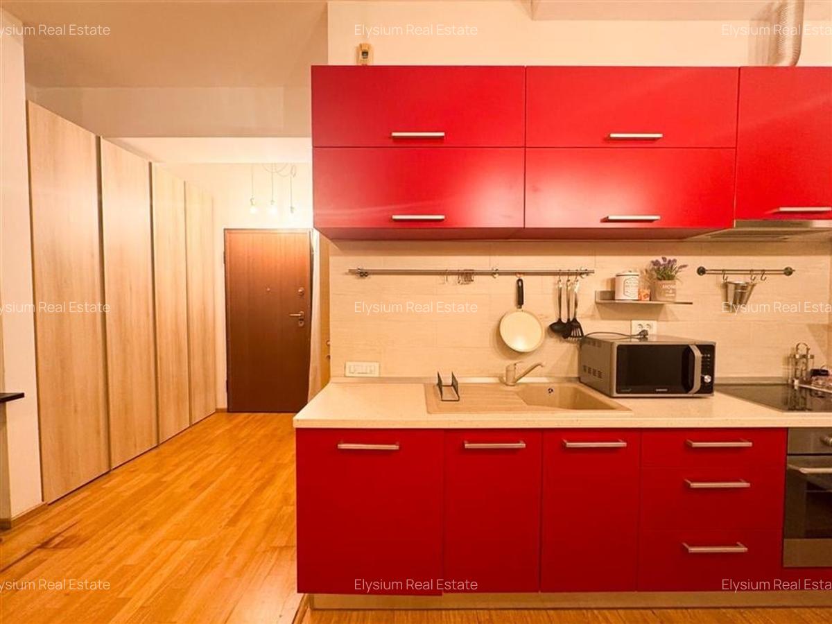 Apartament 2 camere de inchiriat Herastrau Cartierul Francez - 11