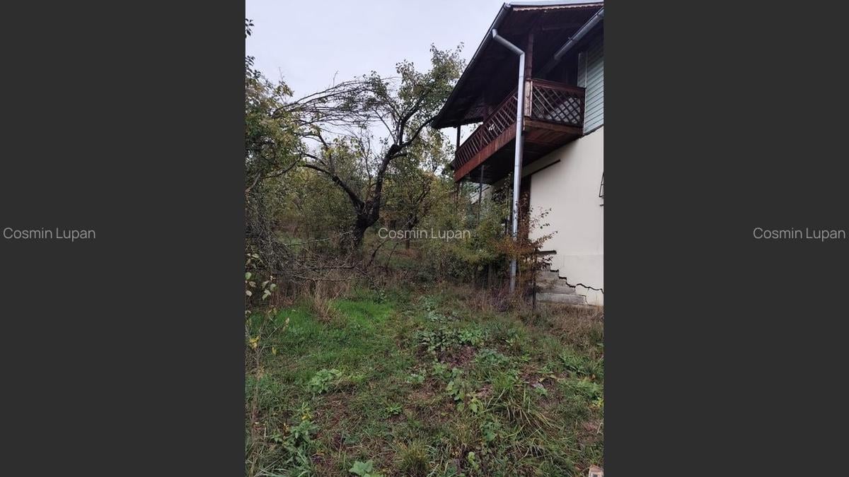 Casa Veche, Central Drajna de Jos 5000 mp - 4