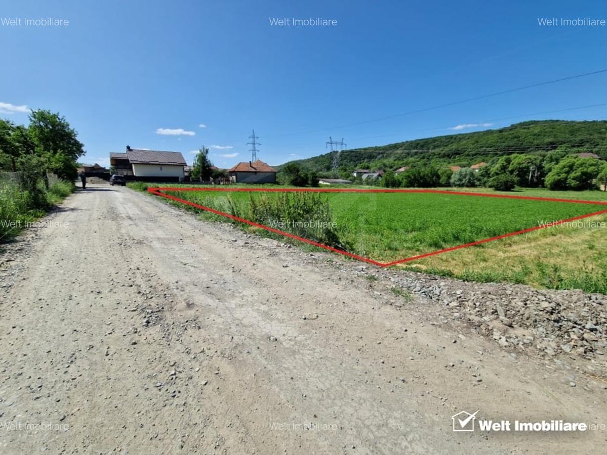 Teren intravilan 2000 mp - Popesti (Baciu) Ideal pentru casa, gradina si livada - 1