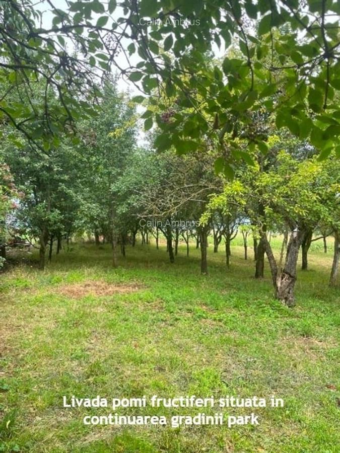 COMISION 0%  - Casa Individuala 100 Mo 733 Mp Teren - 5