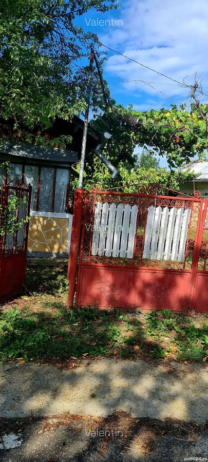 Teren cu casa in Cobia - 5