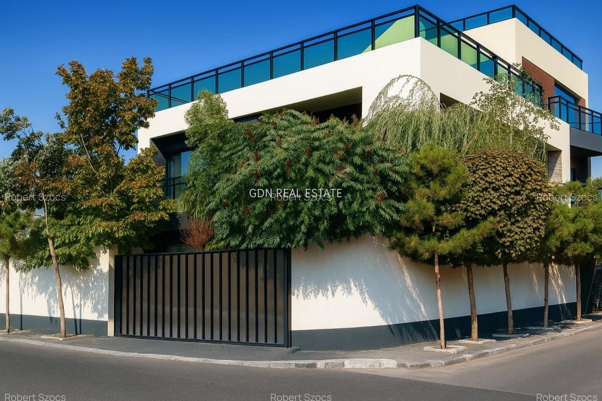 Vila premium 455 mp, destinatie rezidentiala/comerciala-Carrefour Colentina! - 2