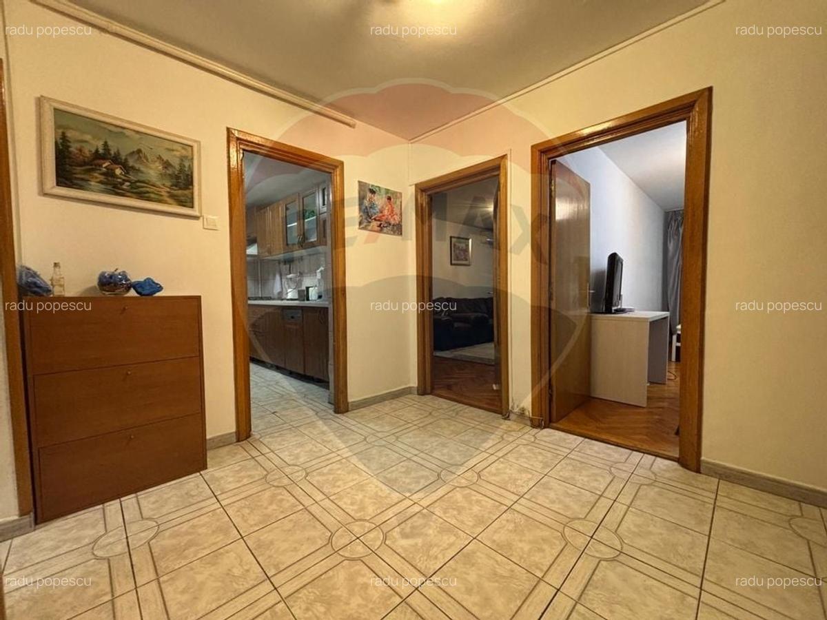 4 camere de vanzare TEIUL DOAMNEI zona verde-linistita, bloc anvelopat - 16