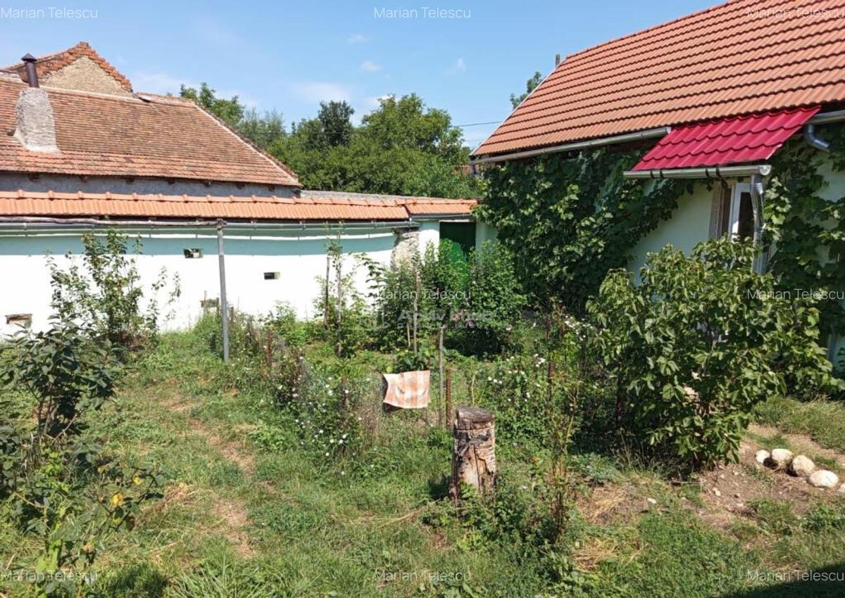 Ilidia, Casa de Vacanta, 3 Camere, 899mp Teren, Usor Negocia - 4