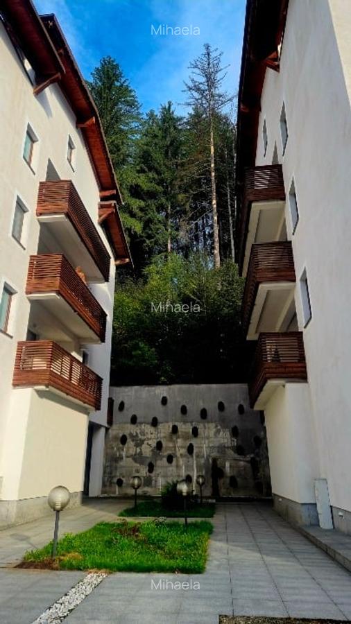 Apartamente de Vacanta Partia Clabucet Predeal - 3