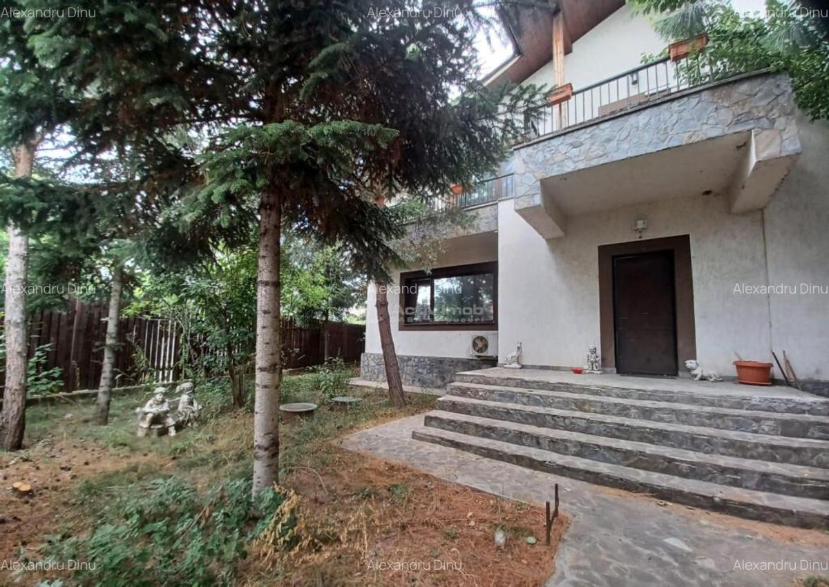 Vila Branesti 5 camere - 4