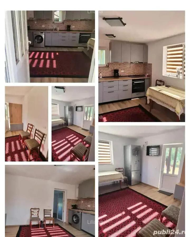 Schimb casa in loc. Ladesti, jud Valcea cu ap cu 2 camere in Rm Valcea - 3