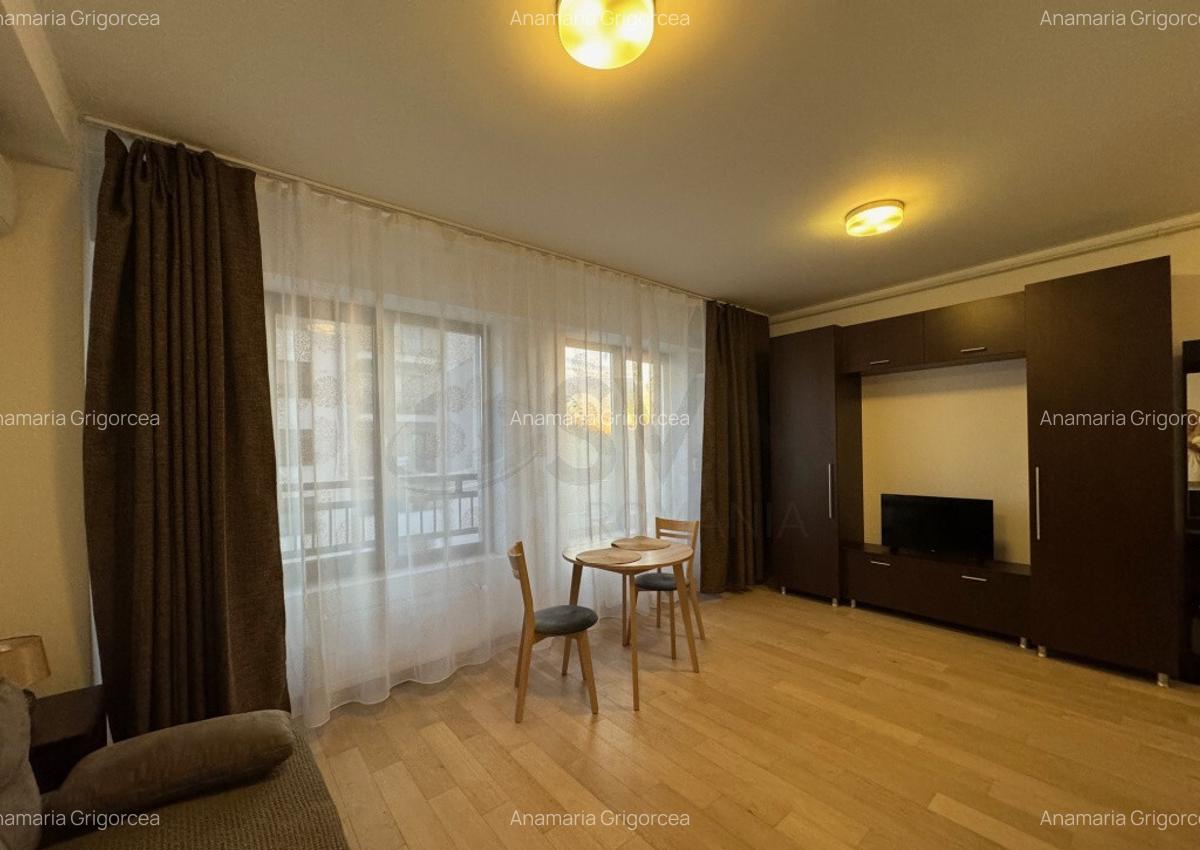 Studio Tineretului Park Residence Parcului Copiilor - 2