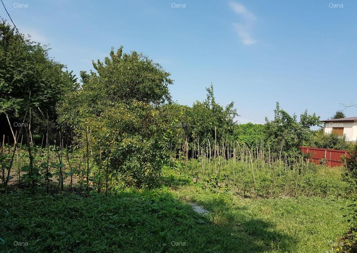 Casa si spatiu comercial in Singureni, Giurgiu - 3