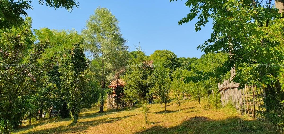 Zona Slanic Prahova,in mijlocul naturii - 14