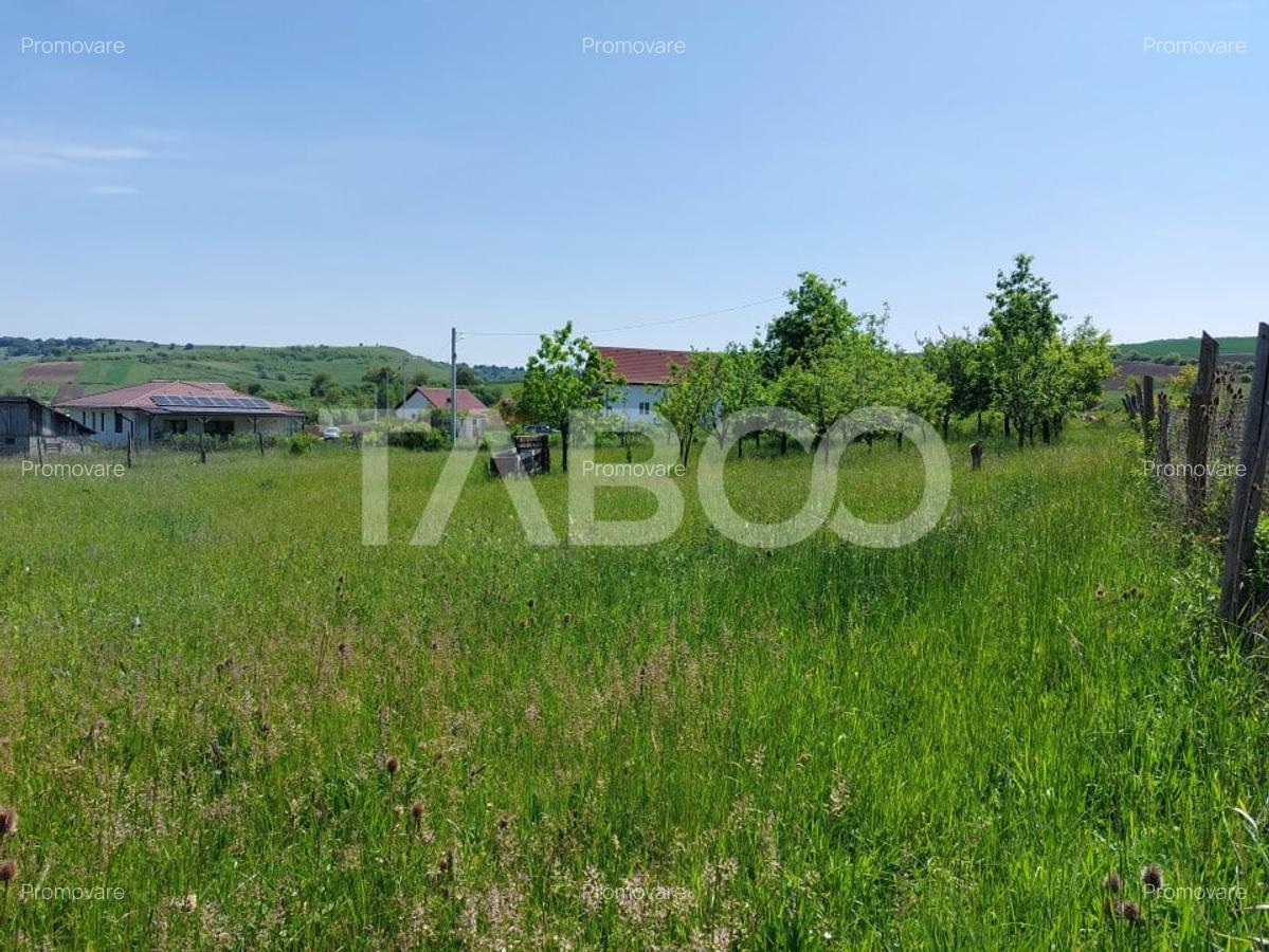 Casa individuala 5 camere cu teren 2000 mp Sura Mare Hamba Sibiu - 12