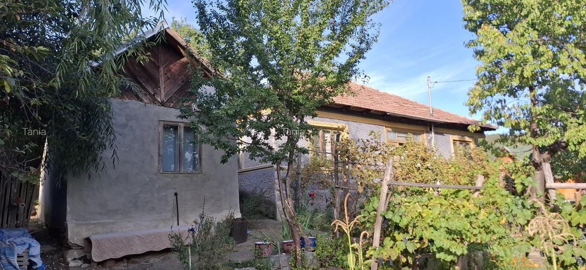 Casa batraneasca cu teren in Nehoiu, Buzau - 5
