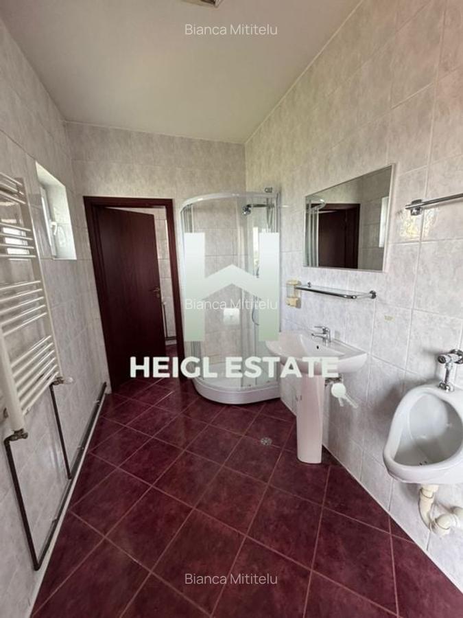 Proprietate ideala pentru echipe de muncitori - 11