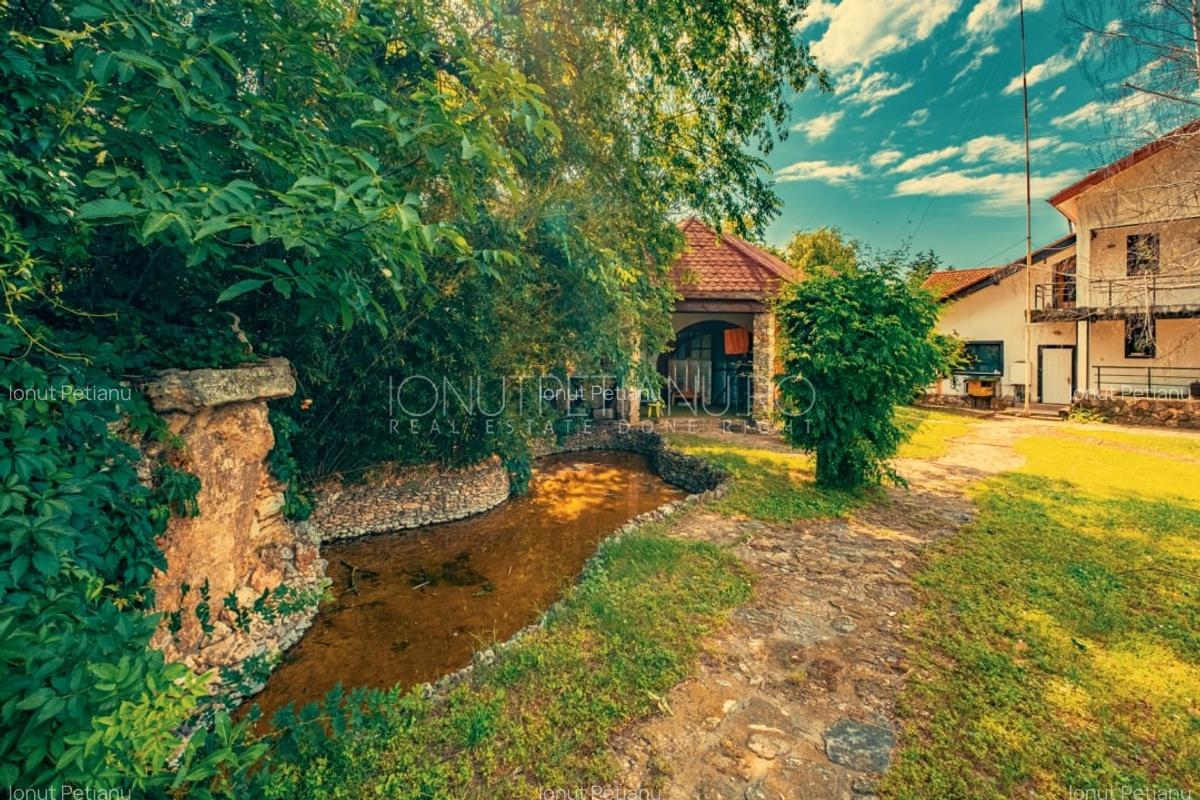 Casa superba cu vedere la lac in Izvorani – piscina, natura,si potential imens! - 8