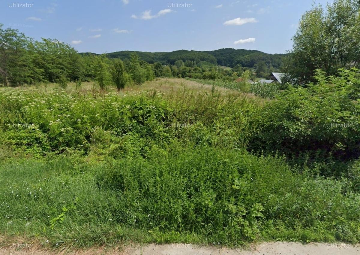 Teren Extravilan 7.980 mp, utilitati, acces DC 179 - 1