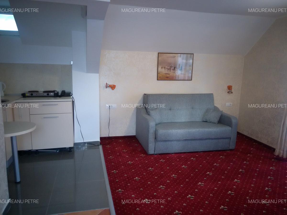 Vila Bran 2 Garsoniere Parter, 1 Apartament Ultima New 2025 - 5