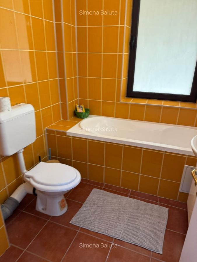 Inchiriere apartament 3 camere zona Unirii fantani - 11