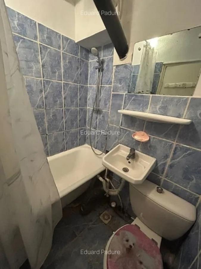 Apartament 1 camera zona Dacia - Bicaz - 3