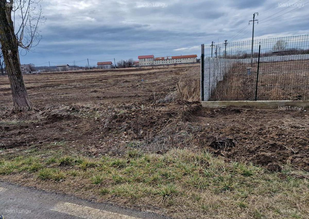 Ciolpani adiacent DN1 teren 12800 mp parcelabil toate uti... - 2