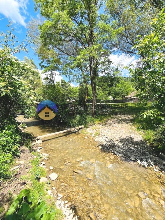 CASA traditionala BICAZU ARDELEAN + teren extravilan 1,6 hectare - 7