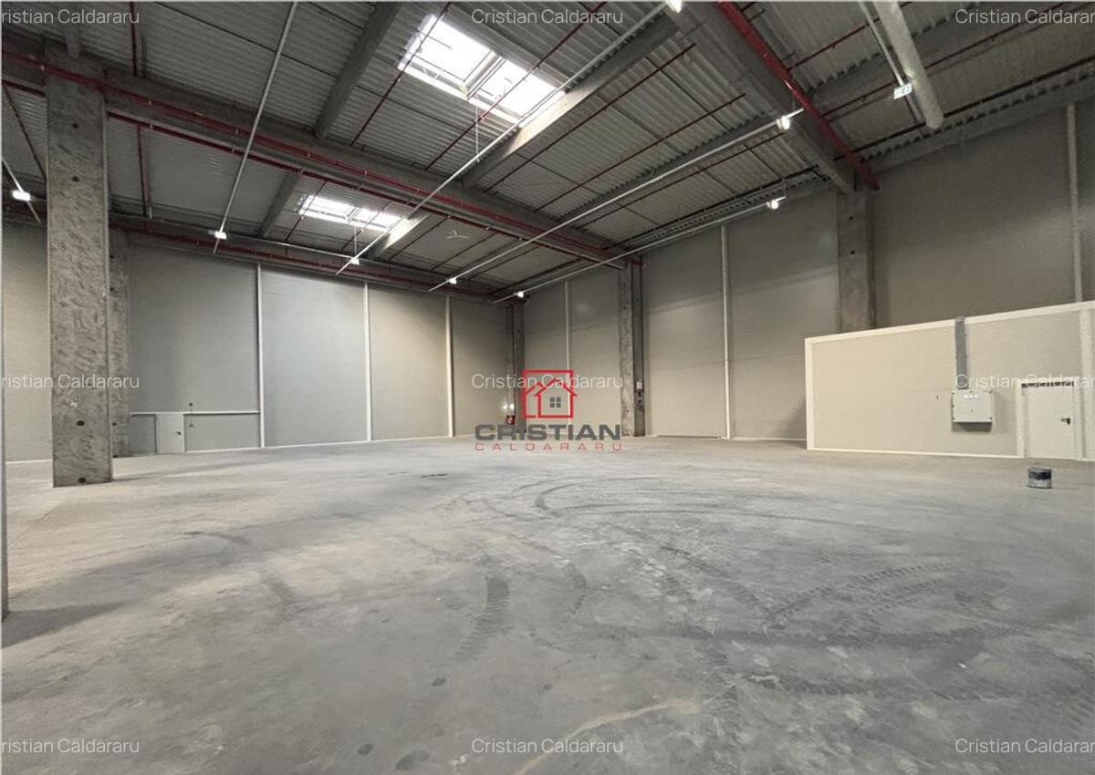 Depozit/hala/spatiu industrial Theodor Pallady - A2 - 16