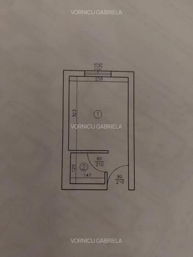 Garsonieră, mobilată în Alexandru cel Bun - 5