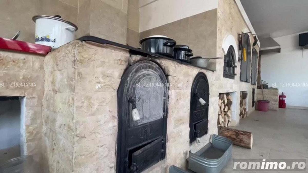 Domeniu situat la poalele Calimanilor - 14