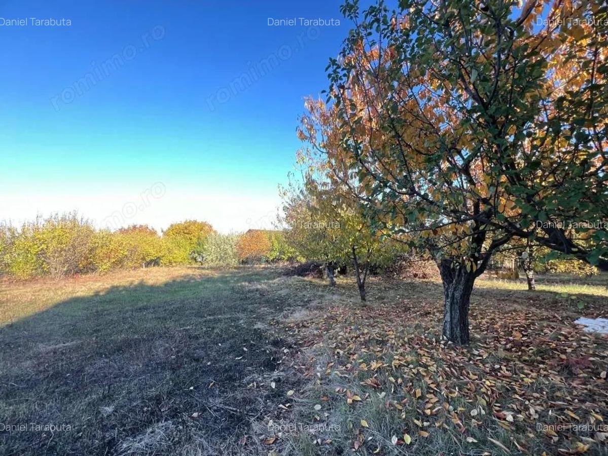 Teren constructie 800mp Rediu Horlesti - 2