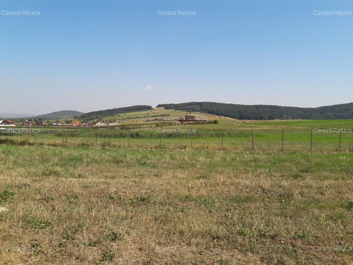 5050mp teren intravilan, faneata, comuna Garcina, sat Almas, Neamt - 4