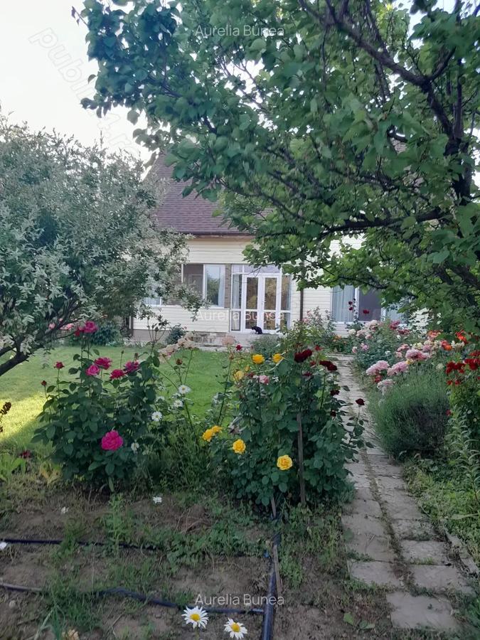 Vand casa cu teren. - 6