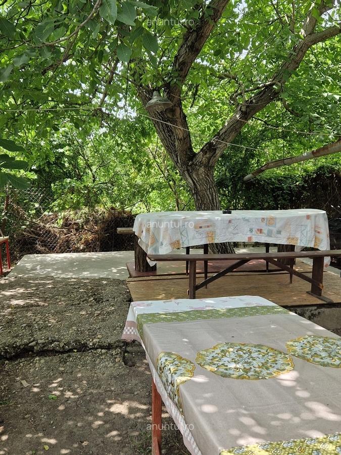 Sat Murani, Com. Pischia, Judetul Timis - 6