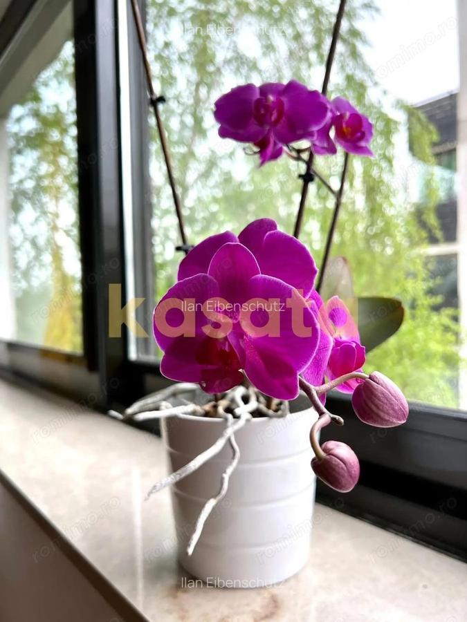 3 camere premium cu balcon generos | Natura Residence Baneasa - 16 3 camere premium cu balcon generos | Natura Residence Baneasa - 16