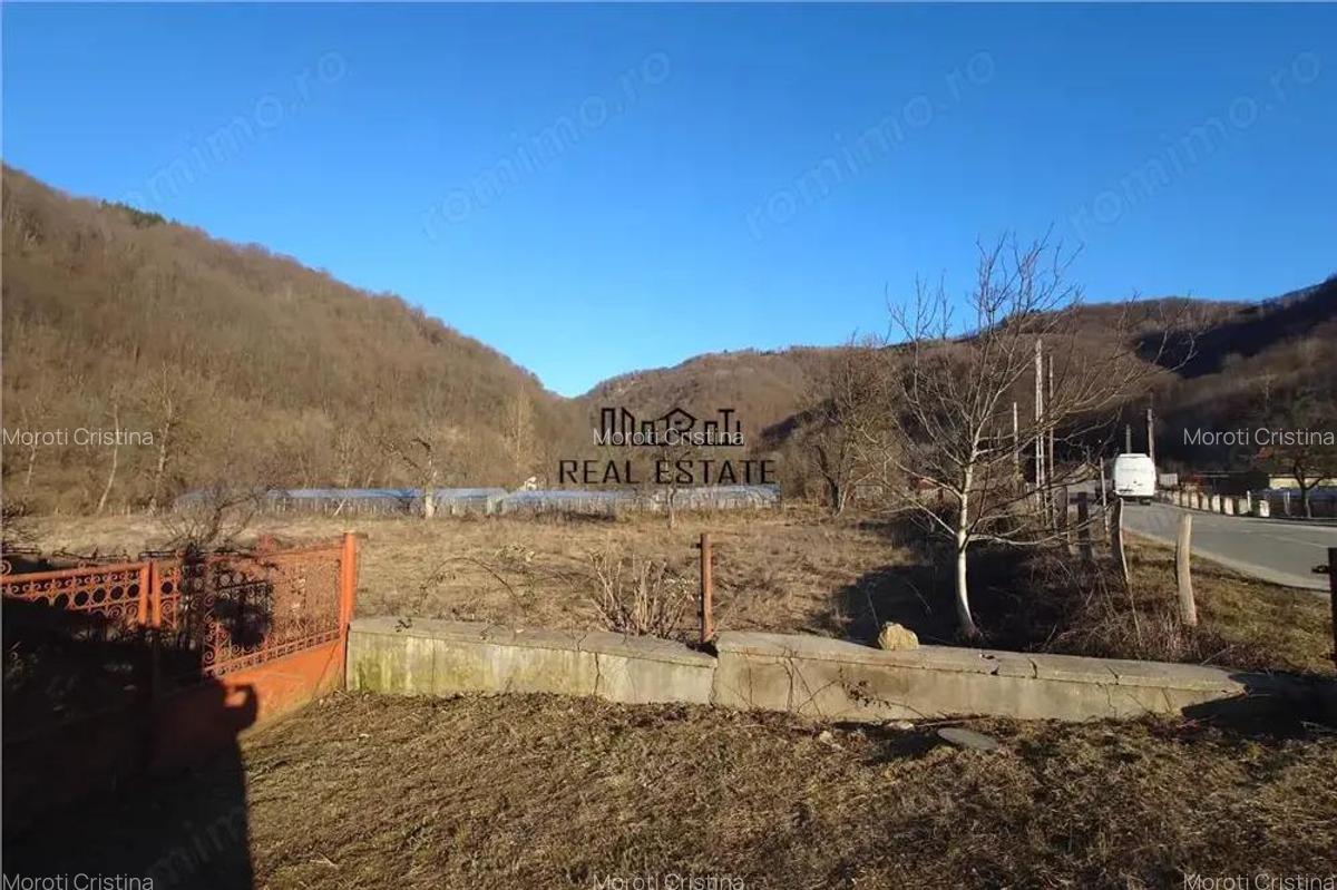 Proprietate cu potential in Apuseni - fosta pizzerie, ideala pentru afacere sau locuinta - 15