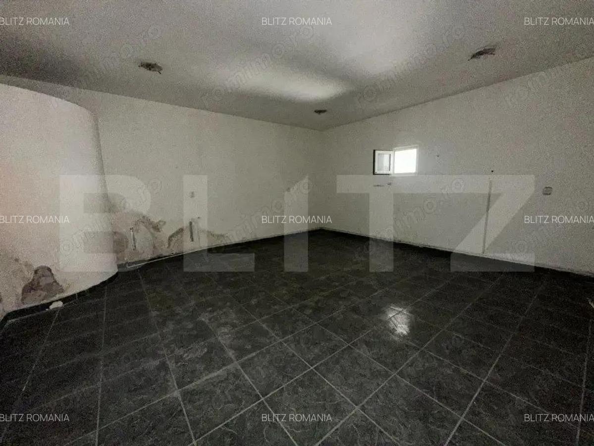 Spatiu comercial, 293 mp/129 mp, zona ultracentrala cu Vad - 4
