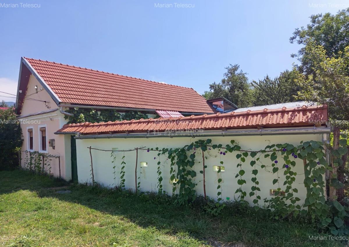 Ilidia, Casa de Vacanta, 3 Camere, 899mp Teren, Usor Negocia - 20