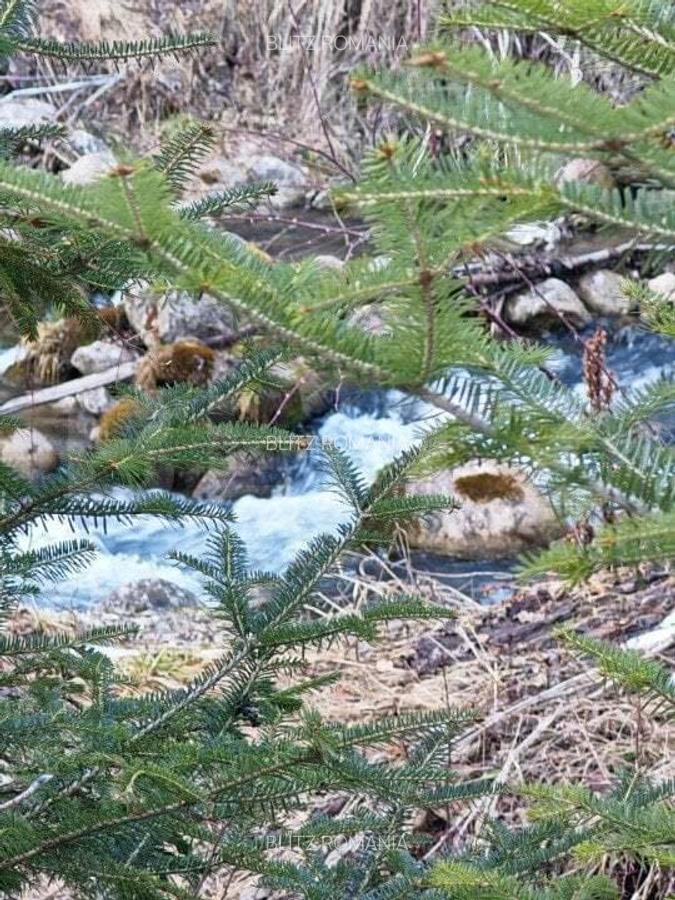 Casa de vacanta de vanzare in Rasnov - Brasov - 4