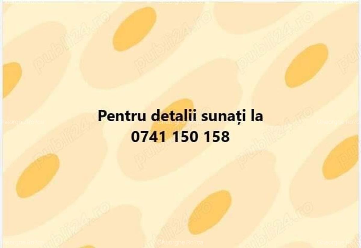 Apartament 2 camere decomandat, 76 mp, Micalaca 300 - 2