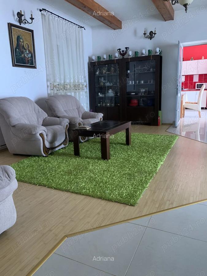 Imobil localitatea Cricau jud.Alba - 9