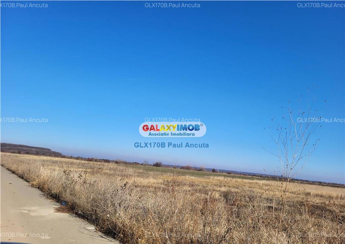 Teren Corbeanca str Magnoliei 13200 mp cu PUZ dezmembrat lot - 1