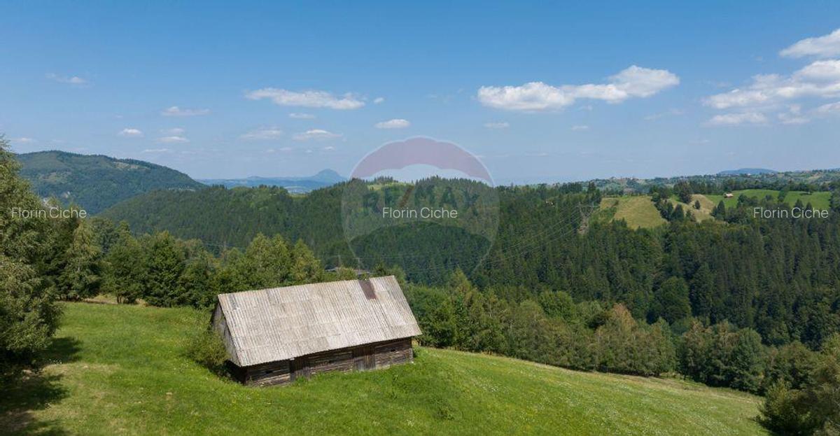 Teren Panoramic in Bran Vedere spre Bucegi & Piatra C... - 8