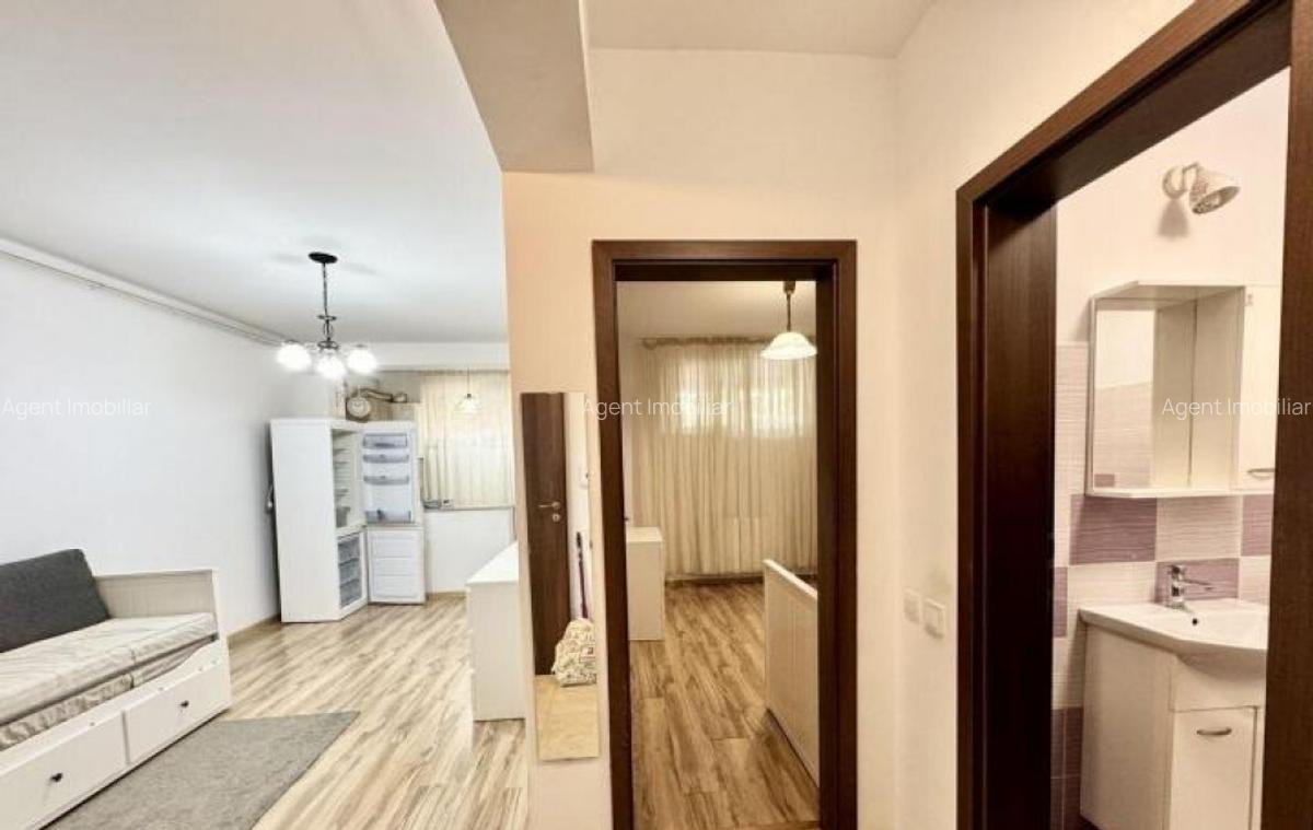 Dimitrie leonida demisol studio pet friendly - 5