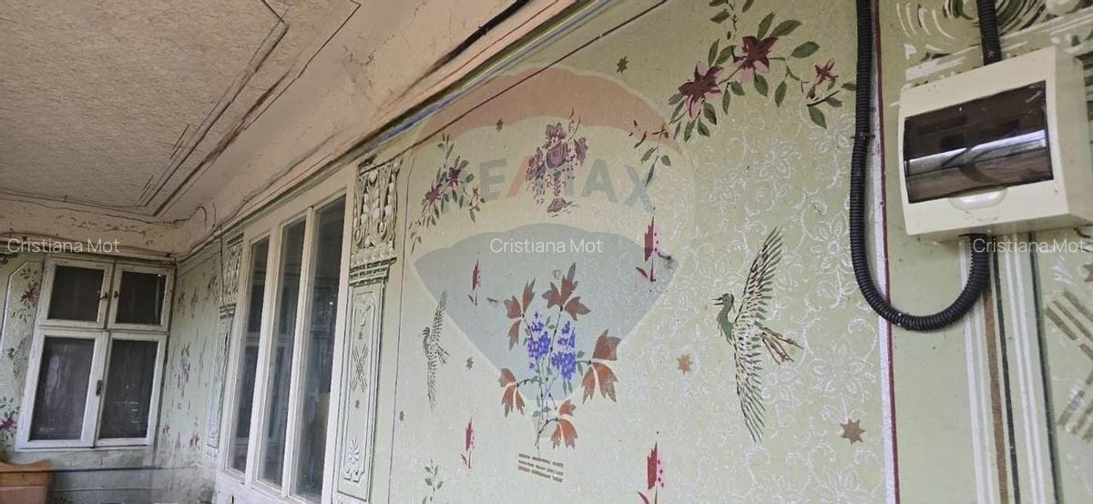 Teren si casa cu teren generos in Socodor - 12 Teren si casa cu teren generos in Socodor - 12